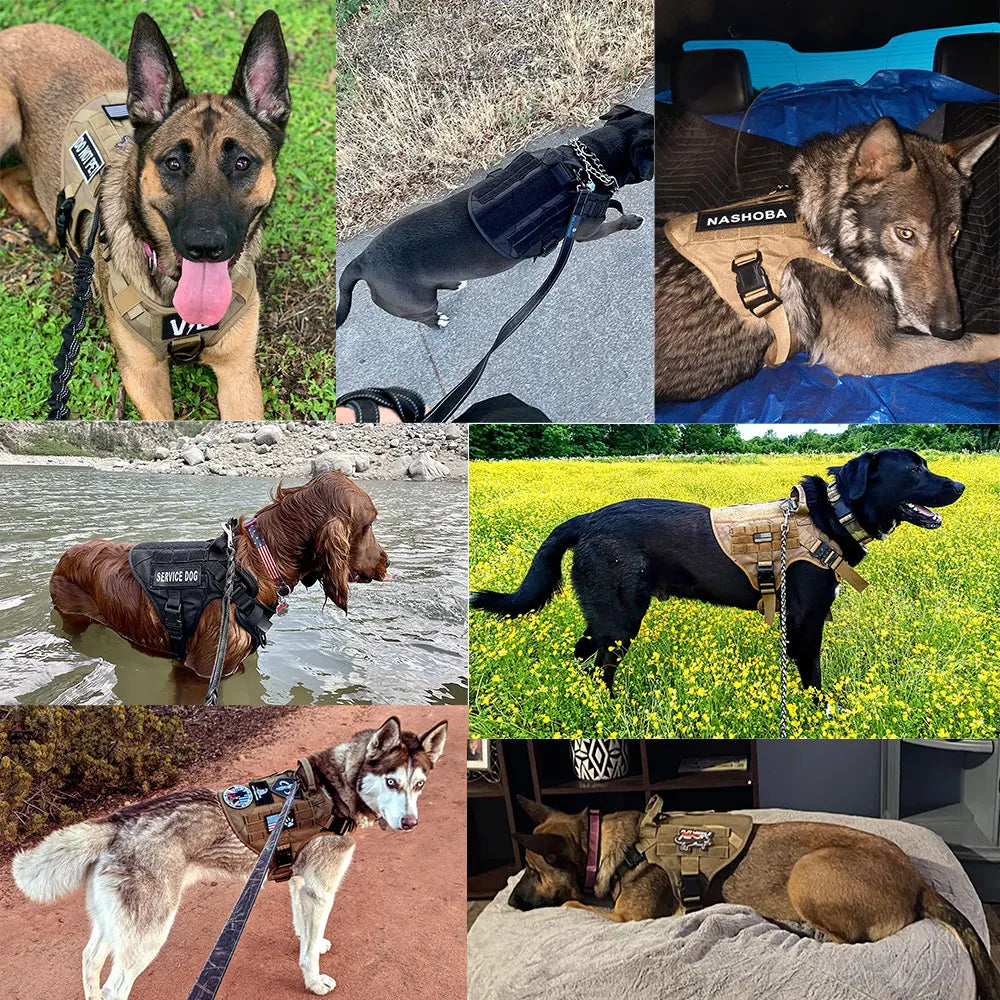 Large Dog Harness and Leash Set for German Shepherd and Malinois Training Walking Vest for Medium and Large Dogs